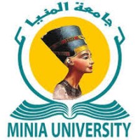 Minia University — Faculty of Engineering